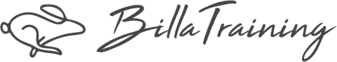 Billat Training